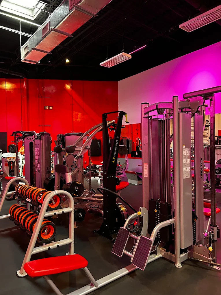 develop healthy habits, proper workout