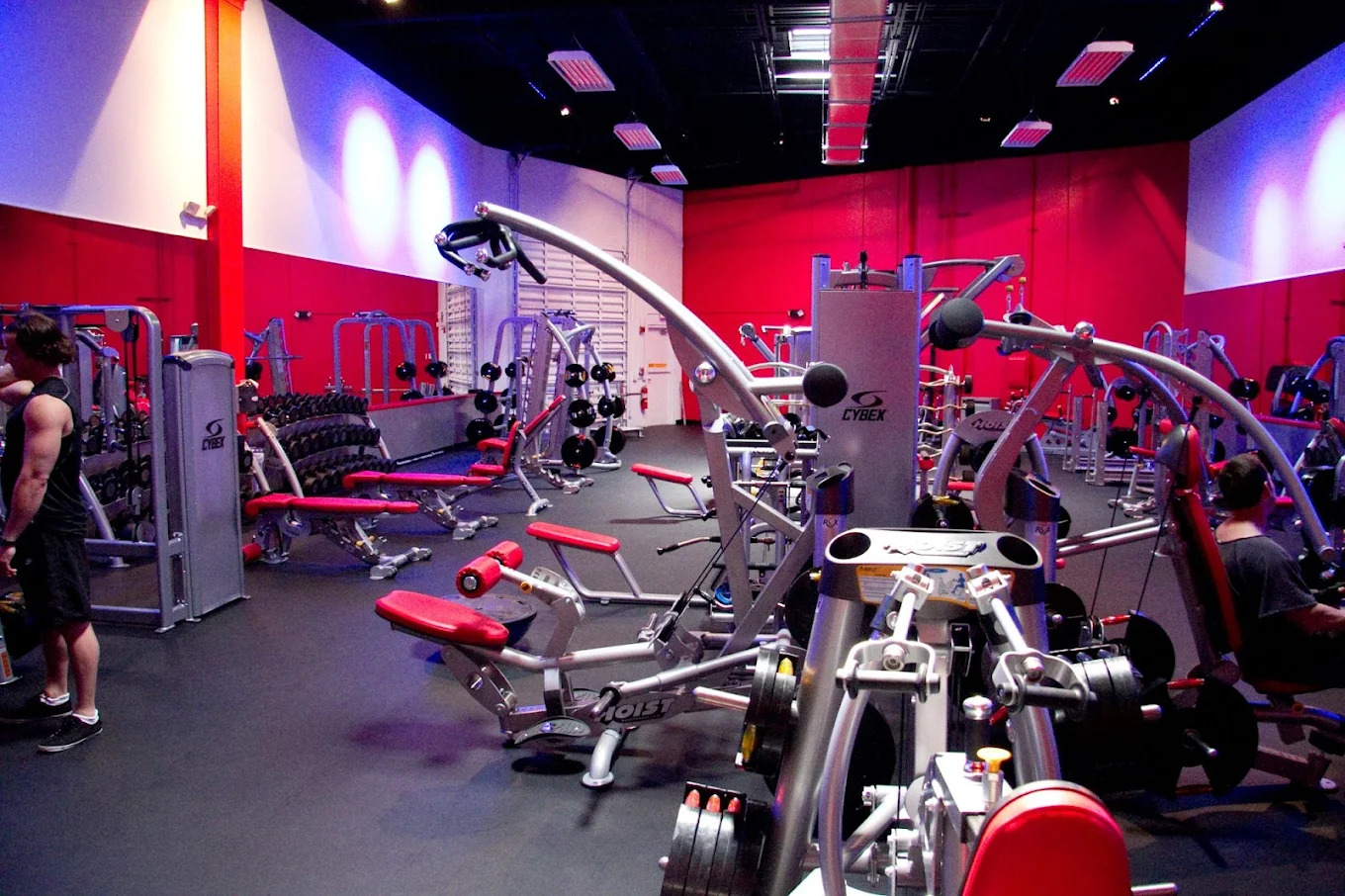 exercise program for seniors